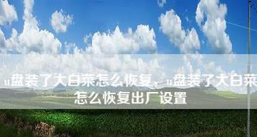 大白菜U盘制作教程图解（轻松学会制作个性化U盘）  第1张