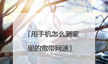 分享提高宽带网速的方法（解决网速慢、提高上网体验）  第1张