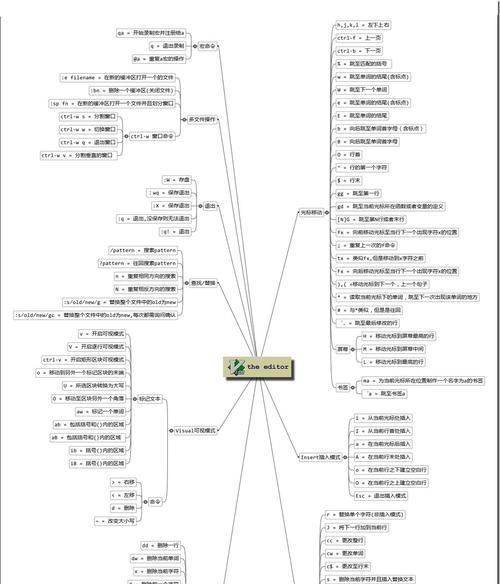 Linux命令大全新手入门指南（掌握Linux基本命令）  第1张