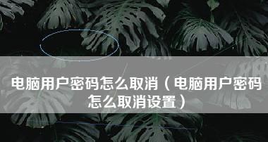 电脑密码提示怎么设置？忘记密码时如何找回？  第2张